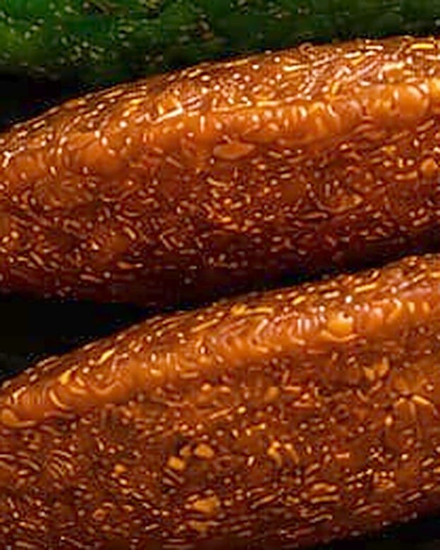 Empanada de maíz Croky sabor lechona